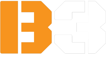 B3